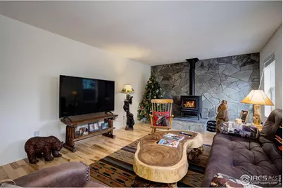 106 Beartrap Rd, Red Feather Lakes, CO 80545 - Photo 9