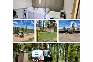 106 Beartrap Rd, Red Feather Lakes, CO 80545 - Photo 39