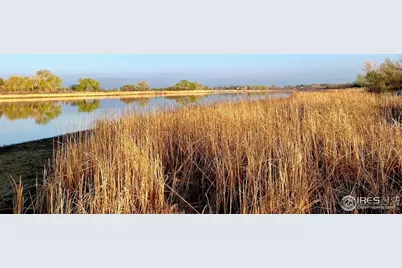 1738 Morningstar Way, Fort Collins, CO 80524 - Photo 41