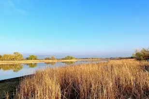 1738 Morningstar Way, Fort Collins, CO 80524 - Photo 41