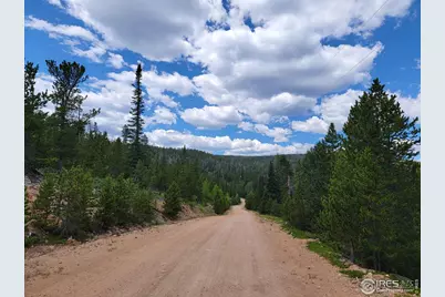 50 Carrier Way, Red Feather Lakes, CO 80545 - Photo 27