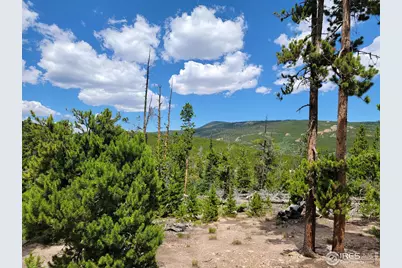 50 Carrier Way, Red Feather Lakes, CO 80545 - Photo 5