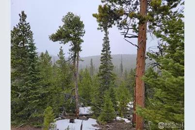 50 Carrier Way, Red Feather Lakes, CO 80545 - Photo 17