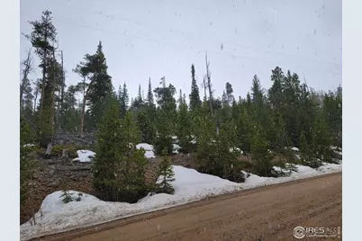 50 Carrier Way, Red Feather Lakes, CO 80545 - Photo 23