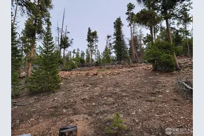 50 Carrier Way, Red Feather Lakes, CO 80545 - Photo 13