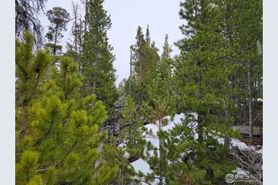 50 Carrier Way, Red Feather Lakes, CO 80545 - Photo 19