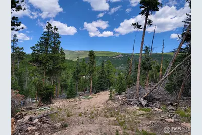 50 Carrier Way, Red Feather Lakes, CO 80545 - Photo 7