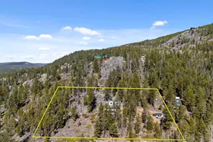 241 Mattapony Way, Red Feather Lakes, CO 80545 - Photo 5