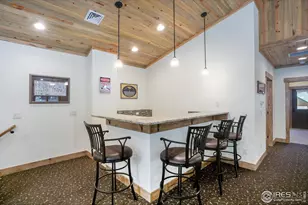 223 Kings Canyon Rd, Bellvue, CO 80512 - Photo 23