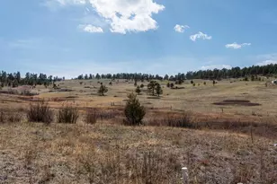 102 Spruce Mountain Dr, Drake, CO 80515 - Photo 37