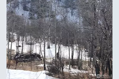 53 Ada Ct, Red Feather Lakes, CO 80545 - Photo 21