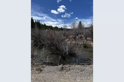 43 Chetco Ct, Red Feather Lakes, CO 80545 - Photo 17