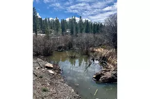 43 Chetco Ct, Red Feather Lakes, CO 80545 - Photo 1