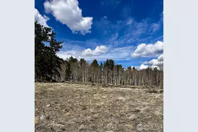 43 Chetco Ct, Red Feather Lakes, CO 80545 - Photo 13