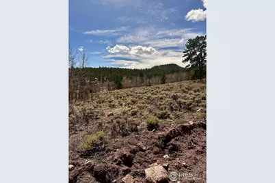 43 Chetco Ct, Red Feather Lakes, CO 80545 - Photo 3