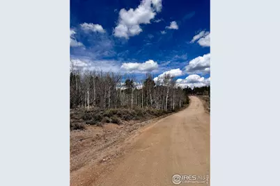 43 Chetco Ct, Red Feather Lakes, CO 80545 - Photo 9