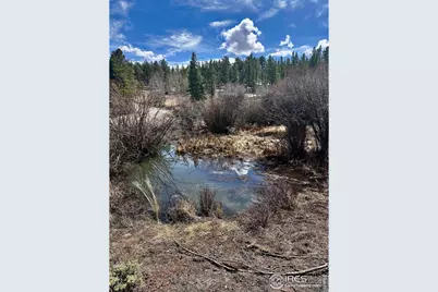 43 Chetco Ct, Red Feather Lakes, CO 80545 - Photo 15