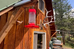 147 Cedar Dr, Lyons, CO 80540 - Photo 35