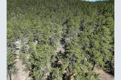 147 Cedar Dr, Lyons, CO 80540 - Photo 29