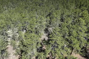 147 Cedar Dr, Lyons, CO 80540 - Photo 29