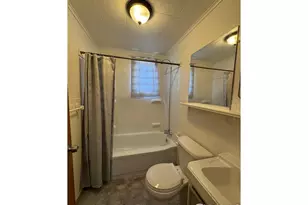 541 Mc Kinley St, Walden, CO 80480 - Photo 23