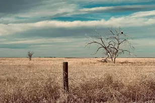 7186 Co Rd 106, Carr, CO 80612 - Photo 33