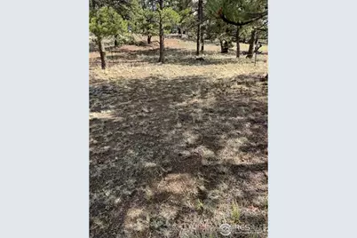 2841 Singletree Rd, Hartsel, CO 80449 - Photo 25