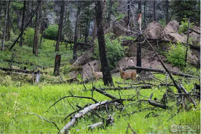 0 Old Flowers Rd, Bellvue, CO 80512 - Photo 21