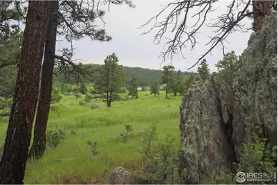 0 Old Flowers Rd, Bellvue, CO 80512 - Photo 7