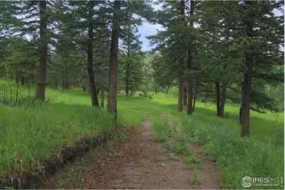 0 Old Flowers Rd, Bellvue, CO 80512 - Photo 9