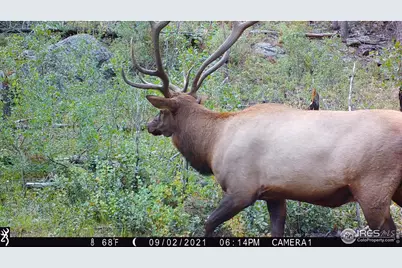 0 Old Flowers Rd, Bellvue, CO 80512 - Photo 17