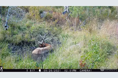 0 Old Flowers Rd, Bellvue, CO 80512 - Photo 35