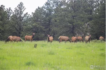 0 Old Flowers Rd, Bellvue, CO 80512 - Photo 27
