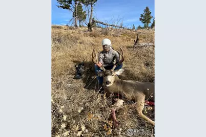 0 Old Flowers Rd, Bellvue, CO 80512 - Photo 37