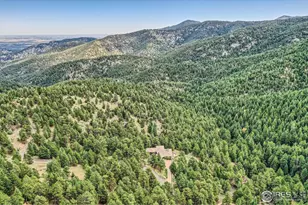 2307 Magnolia Dr, Nederland, CO 80466 - Photo 39