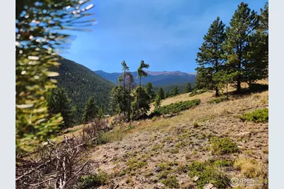 13729 Pingree Park Rd, Bellvue, CO 80512 - Photo 5