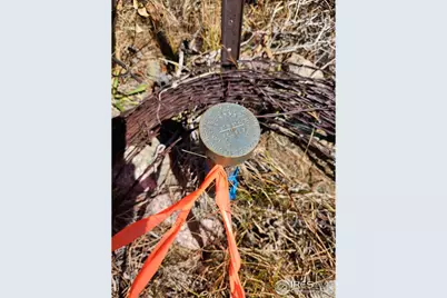 13729 Pingree Park Rd, Bellvue, CO 80512 - Photo 9