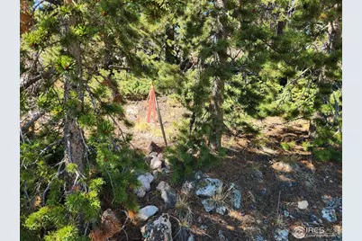 13729 Pingree Park Rd, Bellvue, CO 80512 - Photo 11