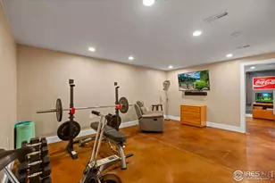 381 Bobcat Dr, Milliken, CO 80543 - Photo 23