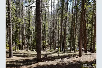 274 Arapahoe Way, Red Feather Lakes, CO 80545 - Photo 17