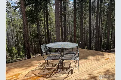 274 Arapahoe Way, Red Feather Lakes, CO 80545 - Photo 9