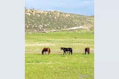 6085 Spring Glade Rd, Loveland, CO 80538 - Photo 39