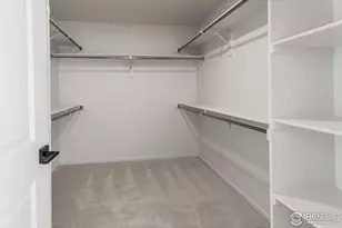 4901 Autumn Leaf Dr, Timnath, CO 80547 - Photo 25