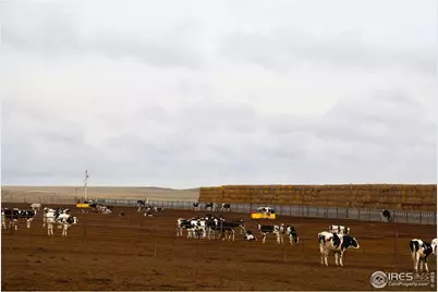 11905 County Road 5, Merino, CO 80741 - Photo 35