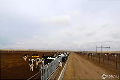 11905 County Road 5, Merino, CO 80741 - Photo 37