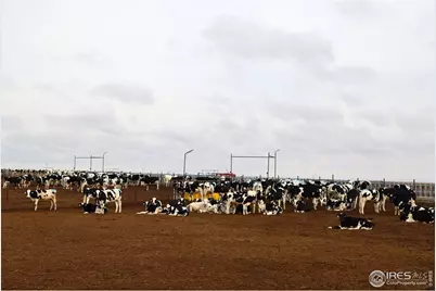 11905 County Road 5, Merino, CO 80741 - Photo 33