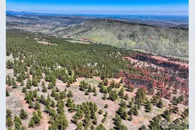 101 Lewis Ln, Longmont, CO 80503 - Photo 37