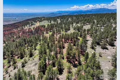 101 Lewis Ln, Longmont, CO 80503 - Photo 29