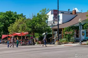 111 Barbara St, Louisville, CO 80027 - Photo 41