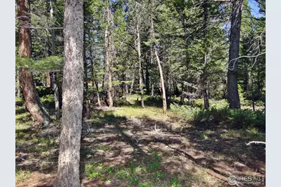 257 Jicarilla Trl, Red Feather Lakes, CO 80545 - Photo 17